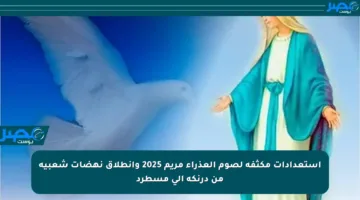 استعدادات مكثفة لصوم العذراء مريم 2025 وانطلاق نهضات شعبية من درنكة إلى مسطرد